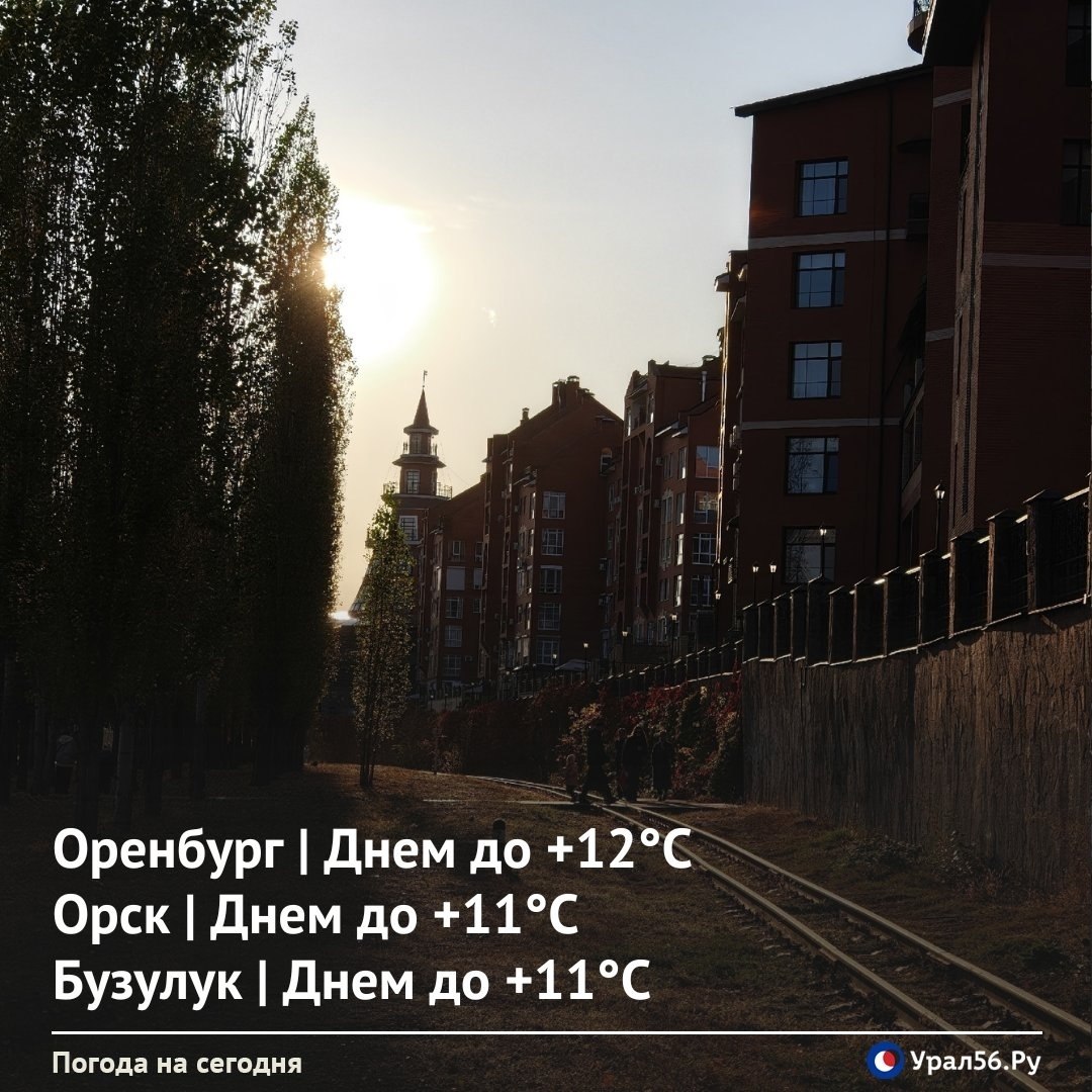 Доброе утро