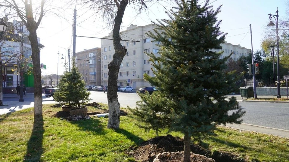 В Оренбурге стало больше зелени: в центре города появилась театральная аллея