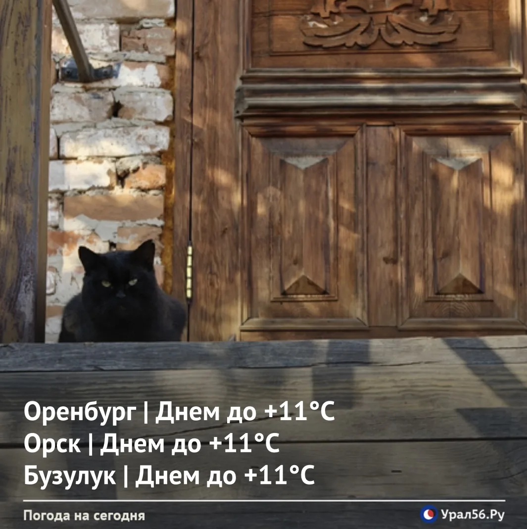 Доброе утро